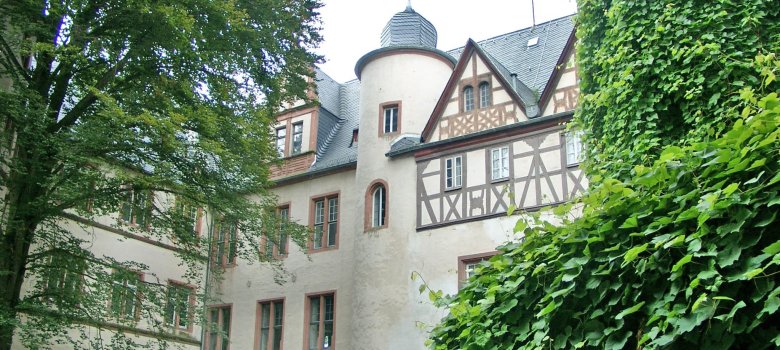 Blick auf das Schloss von Babenhausen