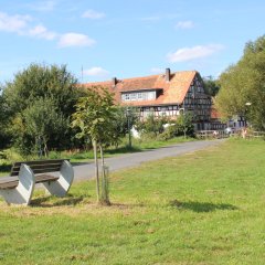 Man sieht die Langfeldsmühle und eine Wiese auf der eine Bank steht