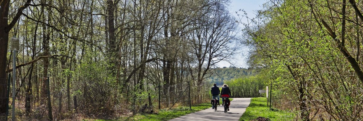 Bild von Radfahrern im Wald
