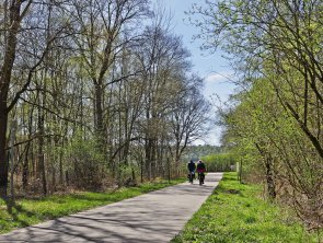 Man sieht Fahrräder die auf einem Fahrradweg fahren.