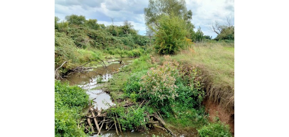 Man sieht einen Bach