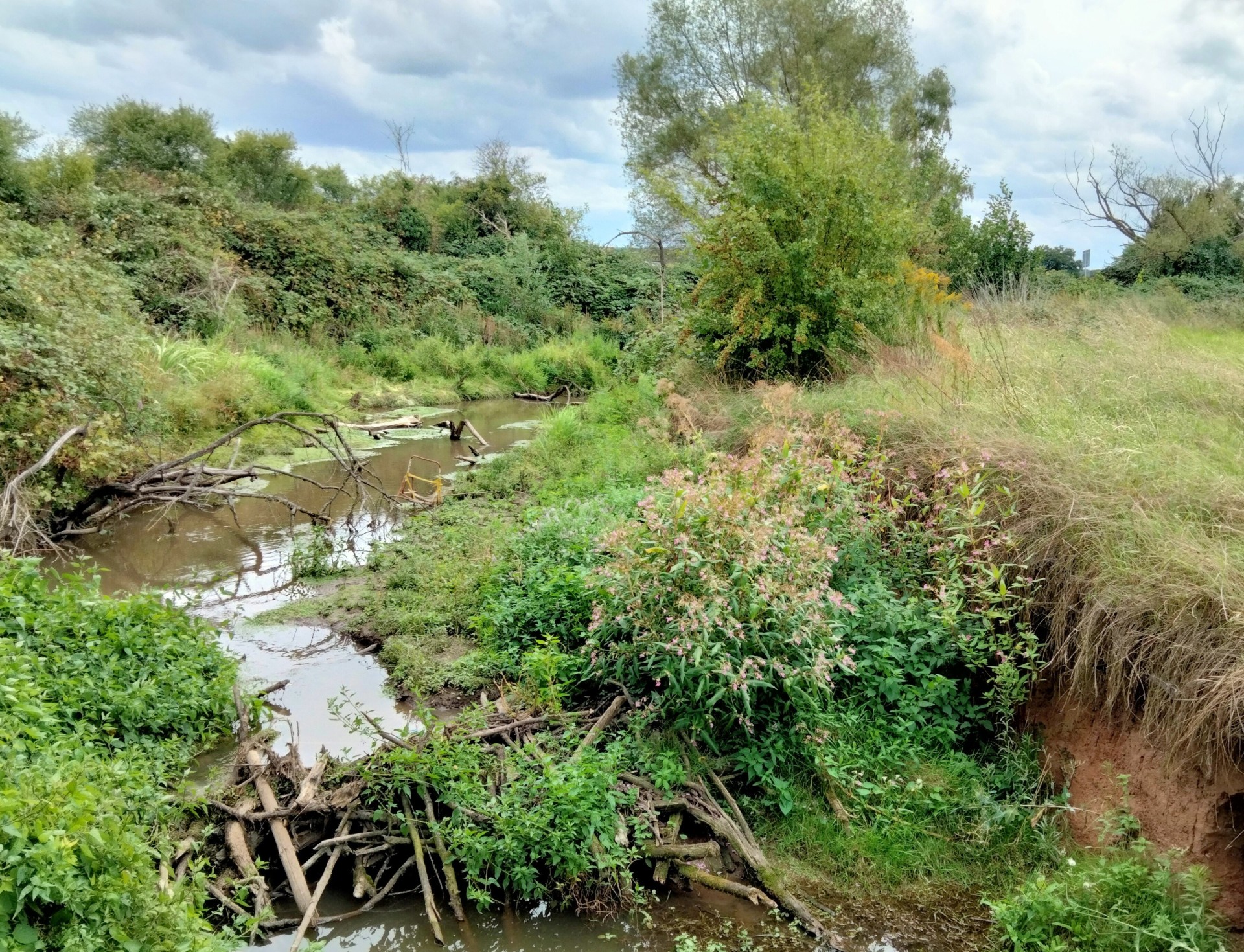 Man sieht einen Bach