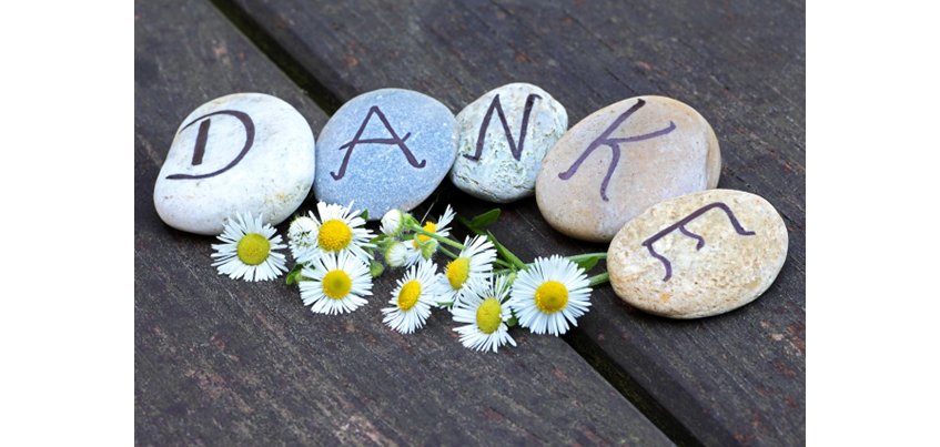 "Danke" auf Steinen geschrieben mit Gänseblümchen 