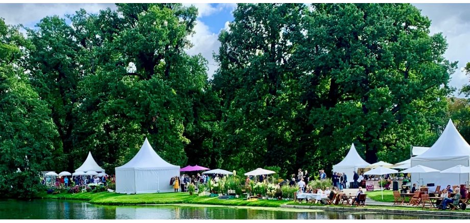 Karlsaue, See, Bäume und weiße Zelte