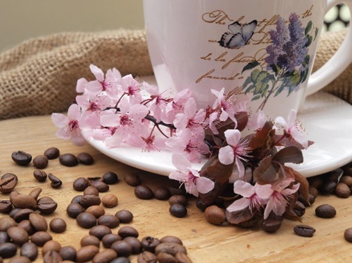 Auf dem Bild sieht man eine Kaffeetasse dekoriert mit Blumen und Kaffeebohnen