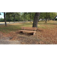 Sitzbank im Park
