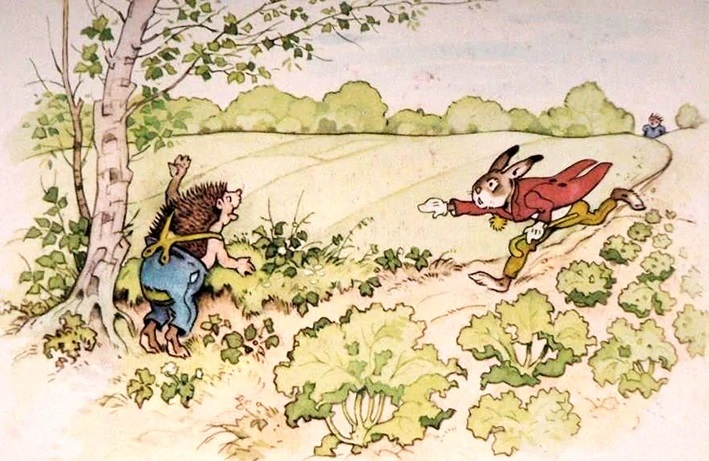 Illustration Märchen Hase & Igel