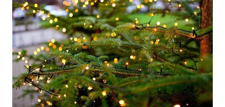 Weihnachtsbaum Nahaufnahme