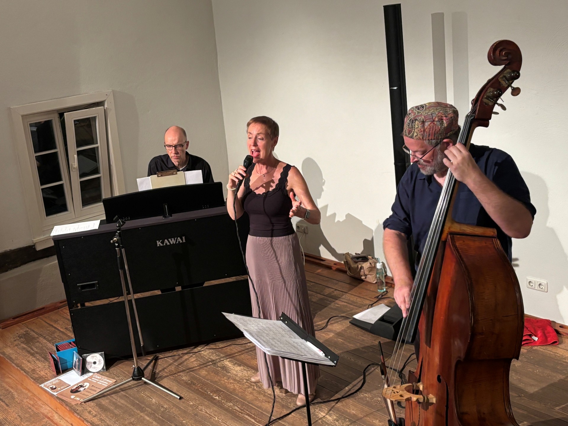 Bild vom Auftritt "Sounds and Grooves"