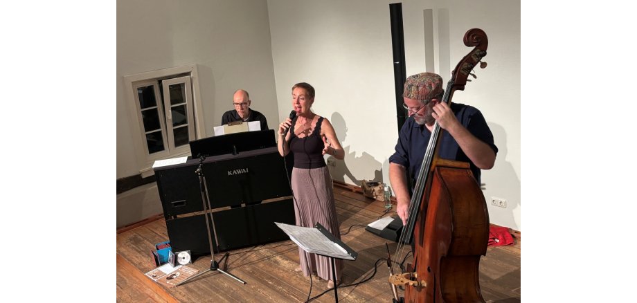 Bild vom Auftritt "Sounds and Grooves"