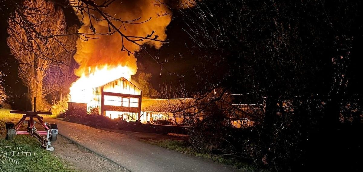Man sieht ein brennendes Gewächshaus.