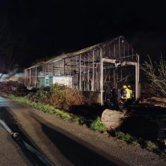 Man sieht ein abgebranntes Gewächshaus.