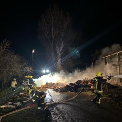 Man sieht Feuerehrleute bei den Löscharbeiten des Gewächshauses.