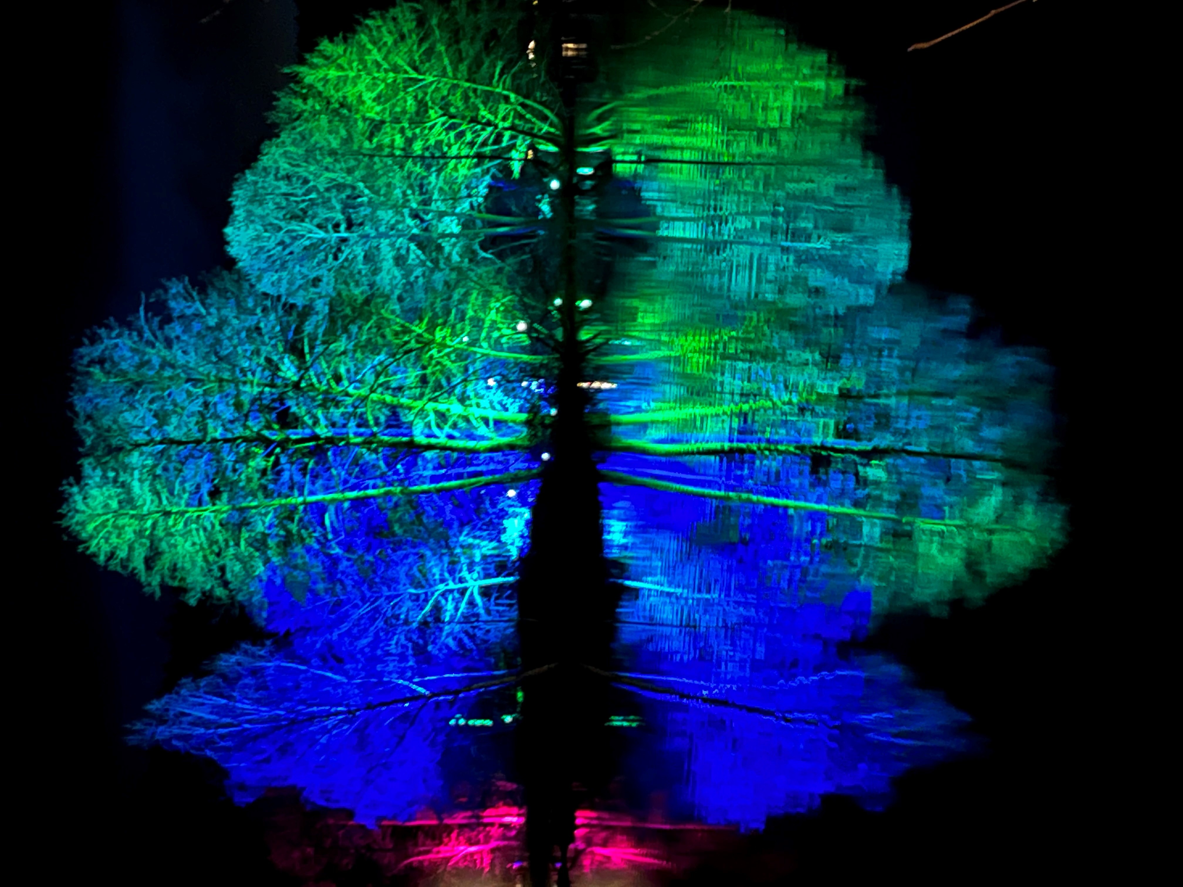 Bild von Christmas Lights