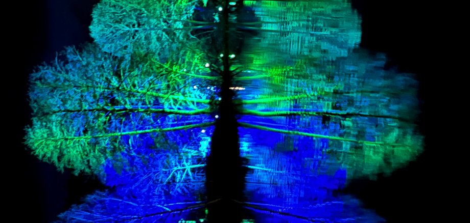 Bild von Christmas Lights