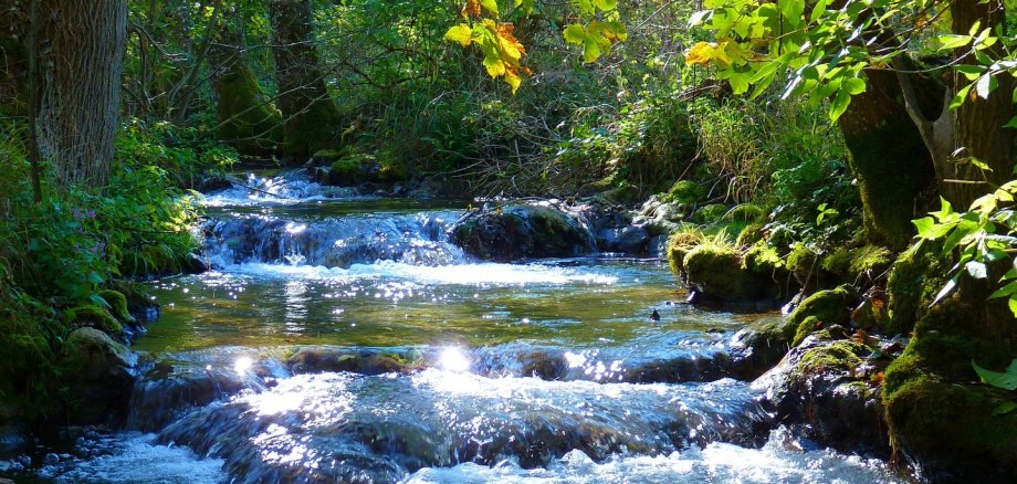 Symbolbild eines Gewässers