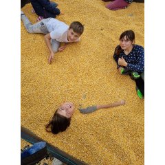 Kinder liegen auf dem Boden und sind mit Maiskörnern bedeckt
