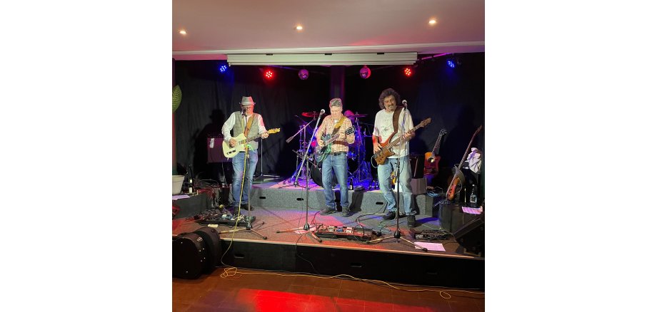 Auf dem Bild ist die Band Divin Trees