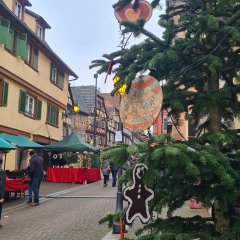 Auf dem Bild sieht man einen Weihnachtsbaum