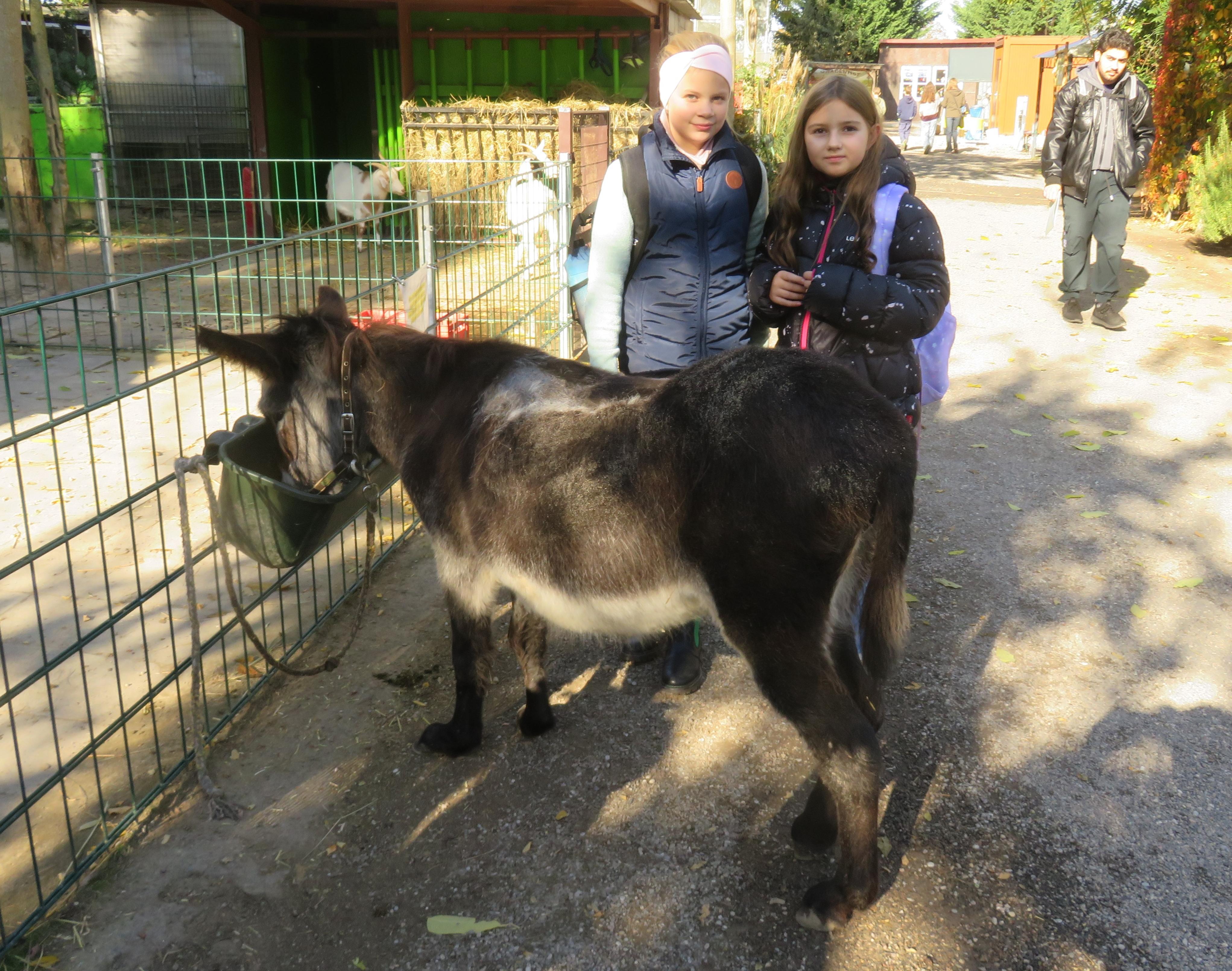 Auf dem Foto sieht man zwei Kinder und einen Esel beim Besuch der Kellerranch