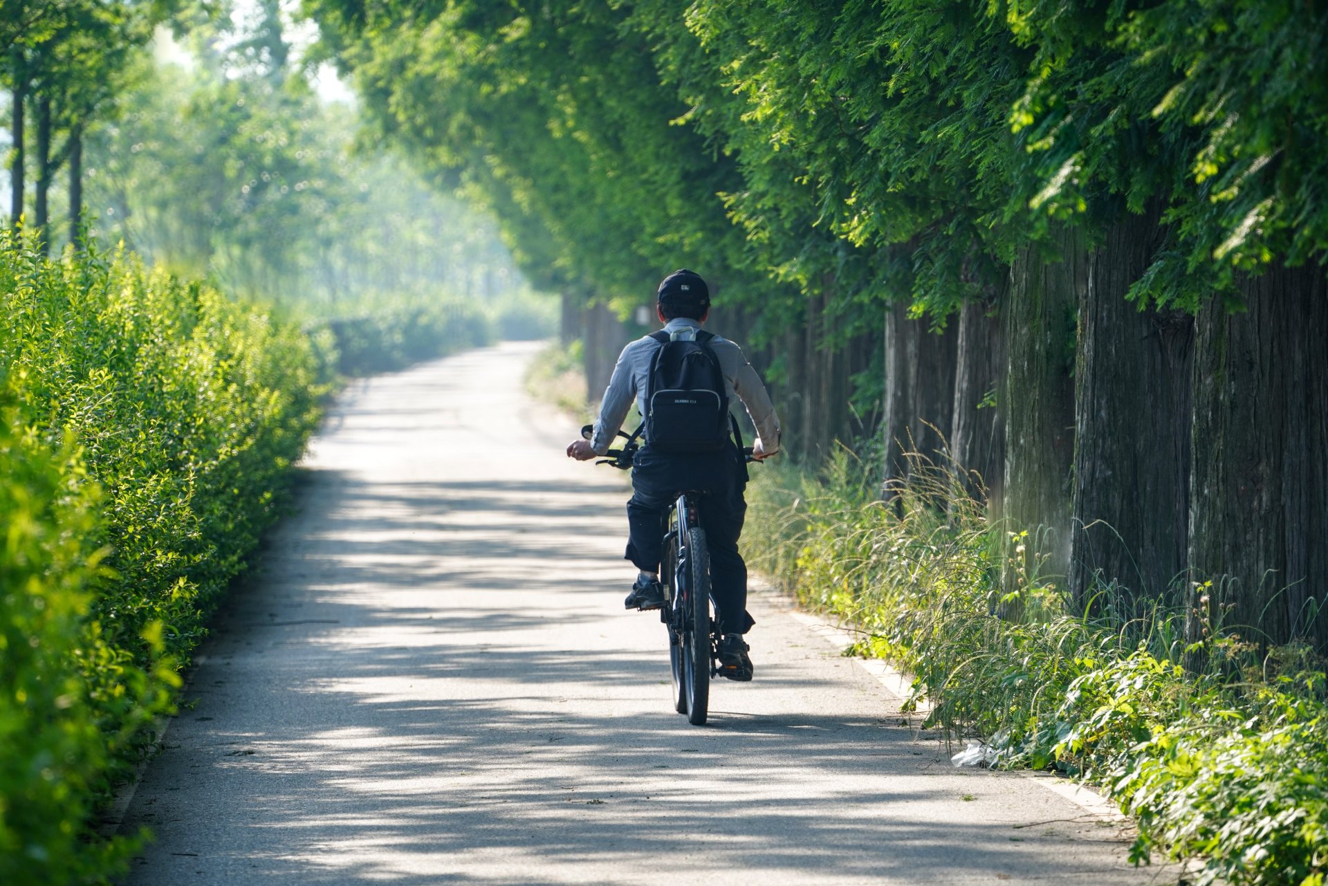 Man sieht einen Radfahrer auf einem Radweg entlang fahren