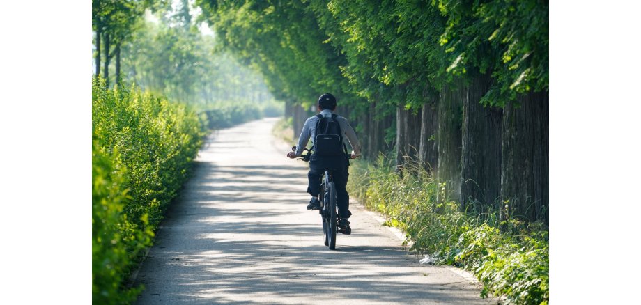 Man sieht einen Radfahrer auf einem Radweg entlang fahren