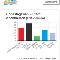Wahlergebnisse der Bundestagswahl 2025 in Babenhausen (Erststimme) 