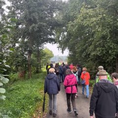 Auf dem Bild sieht man Menschen die einen Spaziergang im Wald machen.