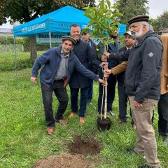 Auf dem Bild sieht man wie mehrere Männer einen Baum einpflanzen.