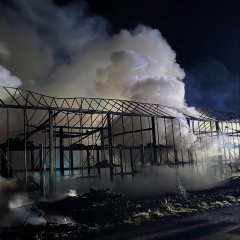 Auf dem Bild sieht man ein abgebranntes Gewächshaus und viel Rauch.