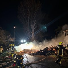 Man sieht einen umgefallenen und abgebrannten Baum