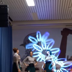 Man sieht große LED-Blumen 