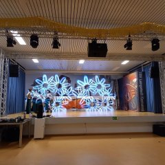 Man sieht eine Bühne mit großen LED-Blumen