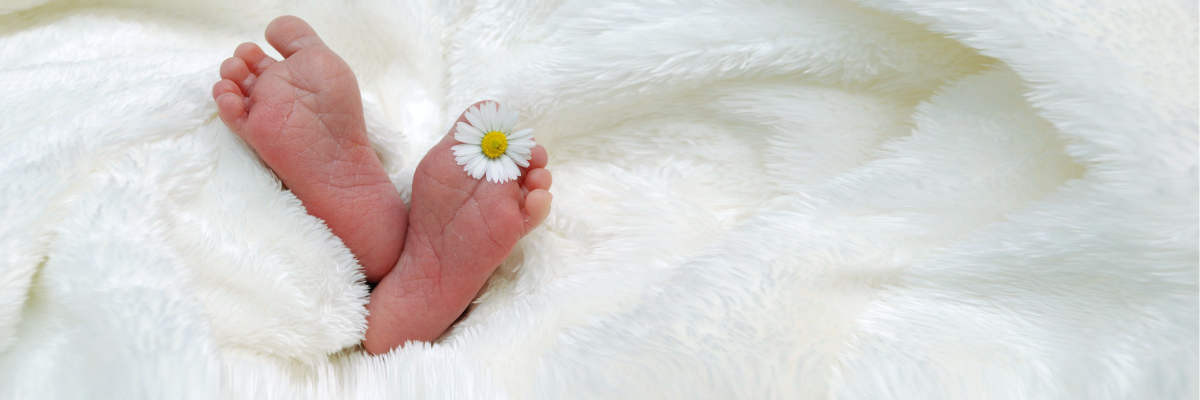 Bild von Babyfüßen mit einer Blume