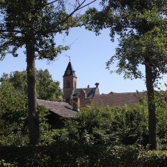 Blick auf den Harpertshäuser Kirchturm durch 2 Bäume