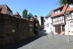 Bild von Radfahrer im Wald